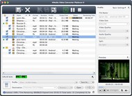 4Media Video Converter Platinum for Mac screenshot